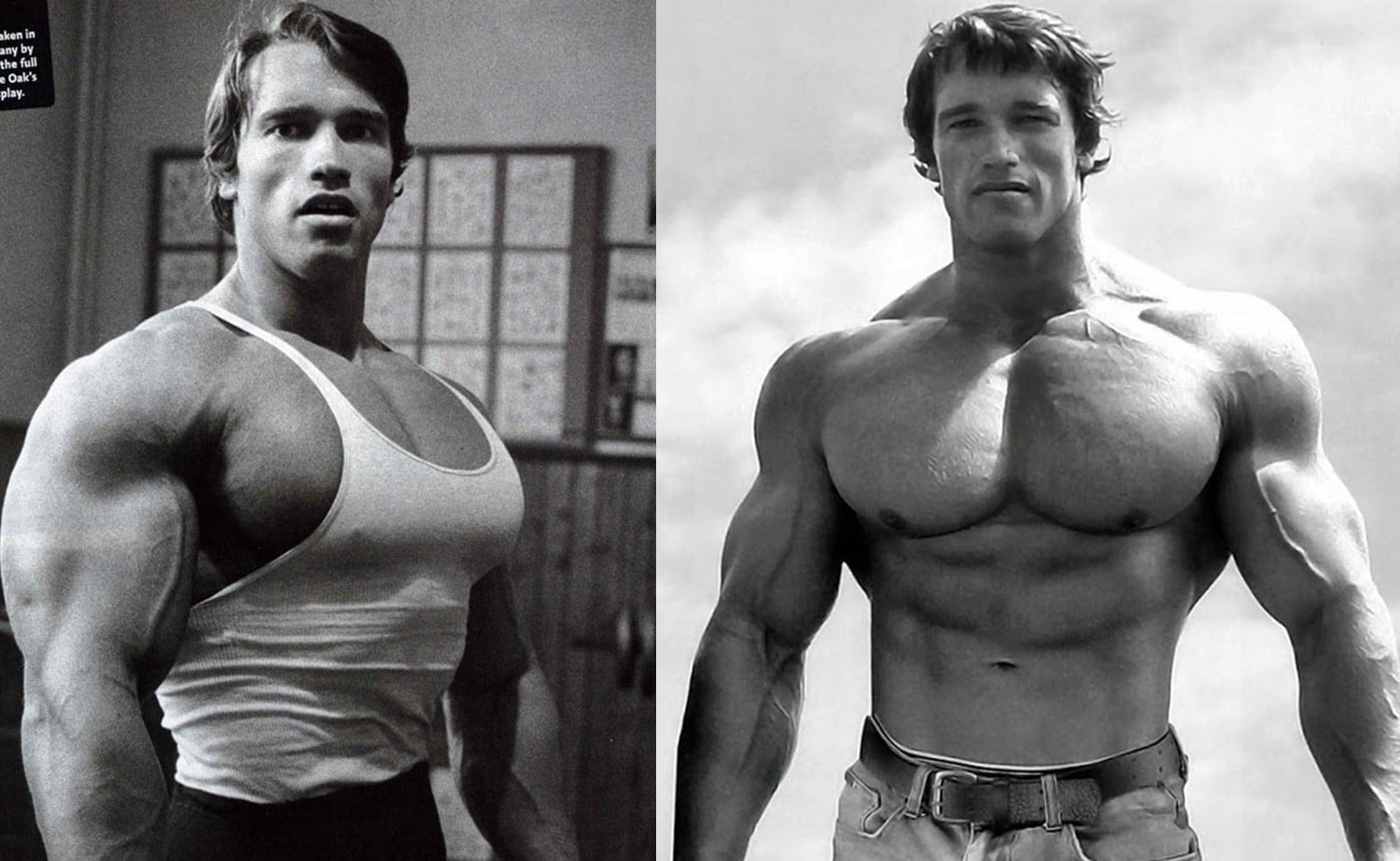 Arnold's Chest Workout