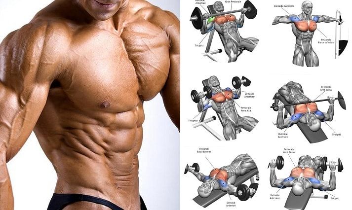 Best Chest Exercises